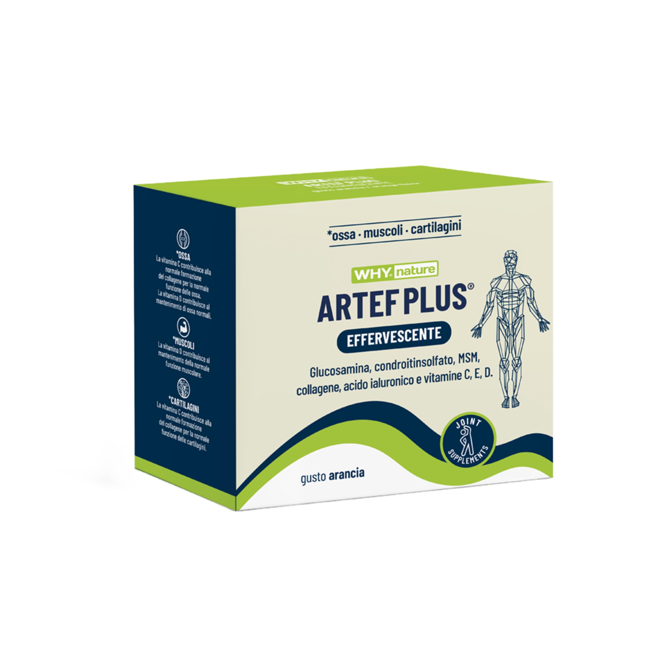 WHY NATURE ARTEF PLUS - Integratore Alimentare Ossa e Cartilagine - Con Vitamina C, Vitamina D3, Vitamina E, Acido Ialuronico - Gusto Arancia - Senza Glutine - 24 Bustine