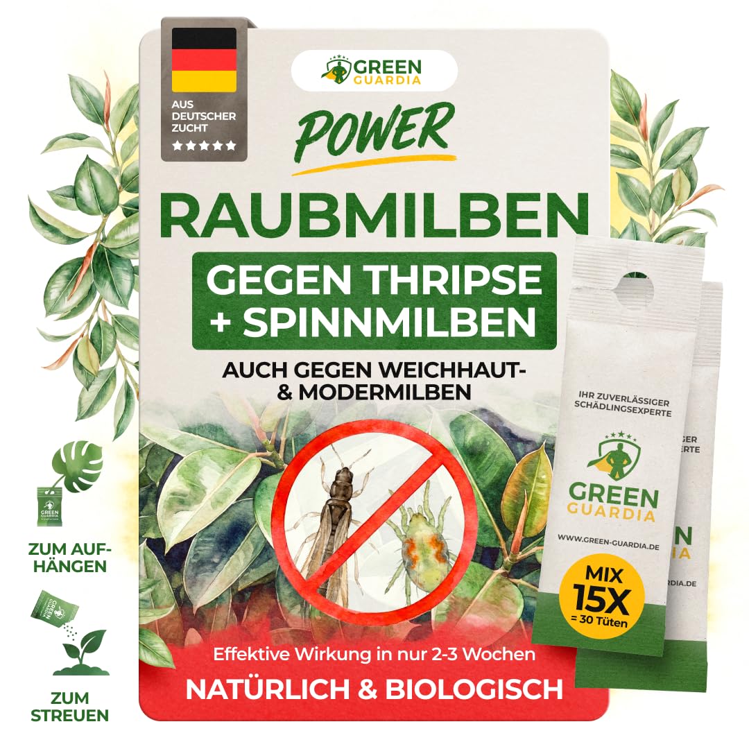GREEN GUARDIA Power Raubmilben Mix gegen Thripse und Spinnmilben – Biologisches Mittel zur effektiven Thripse Bekämpfung – Umweltfreundlich, chemiefreie Mittel