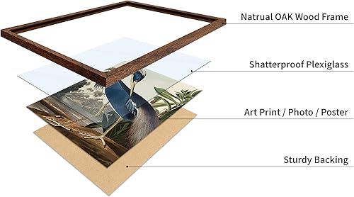 Miniatura 237 de Poster Master Póster vintage de flamenco americano, estampado retro de flamenco rosa, arte de pájaro, regalo para él, ella, amante de los animales,