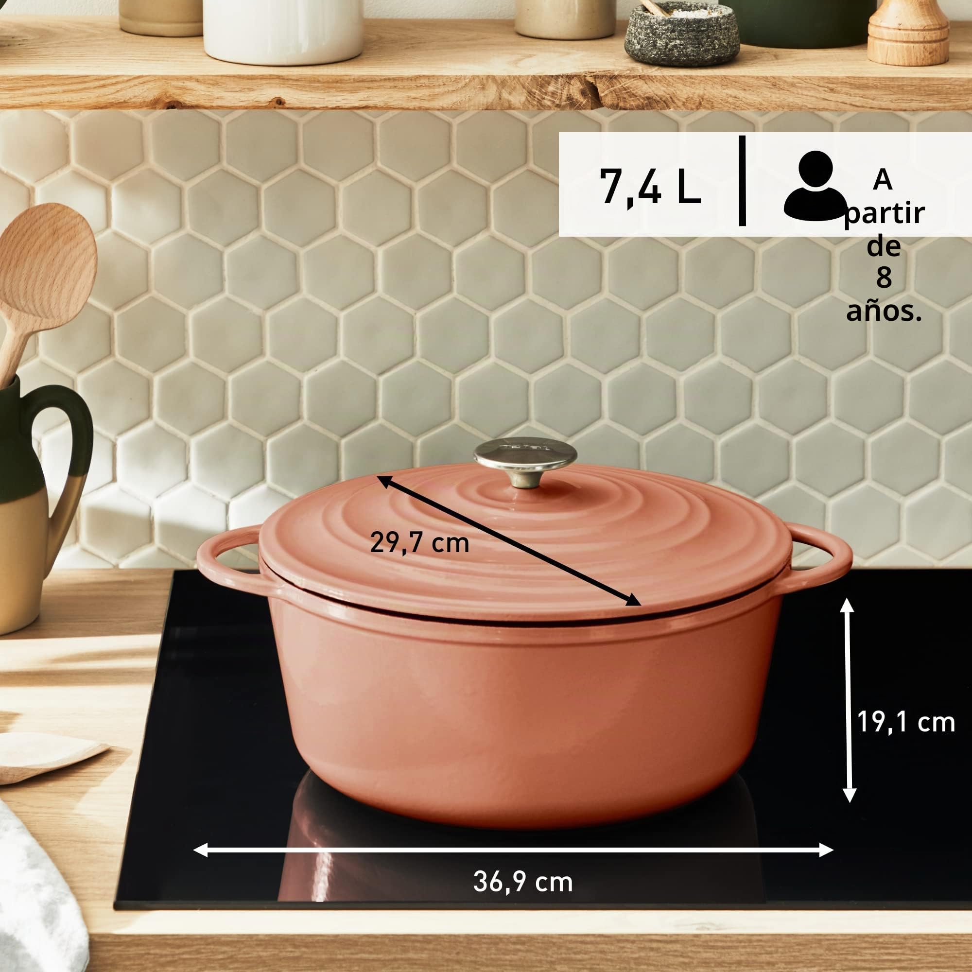 Tefal LOV E2600504 - Cacerola de hierro fundido esmaltado con tapa, 29 cm, 7,4 L, horno holandés, todo tipo de fuegos, olla de hierro fundido, ollas de cocina, aptas para lavavajillas, terracota,