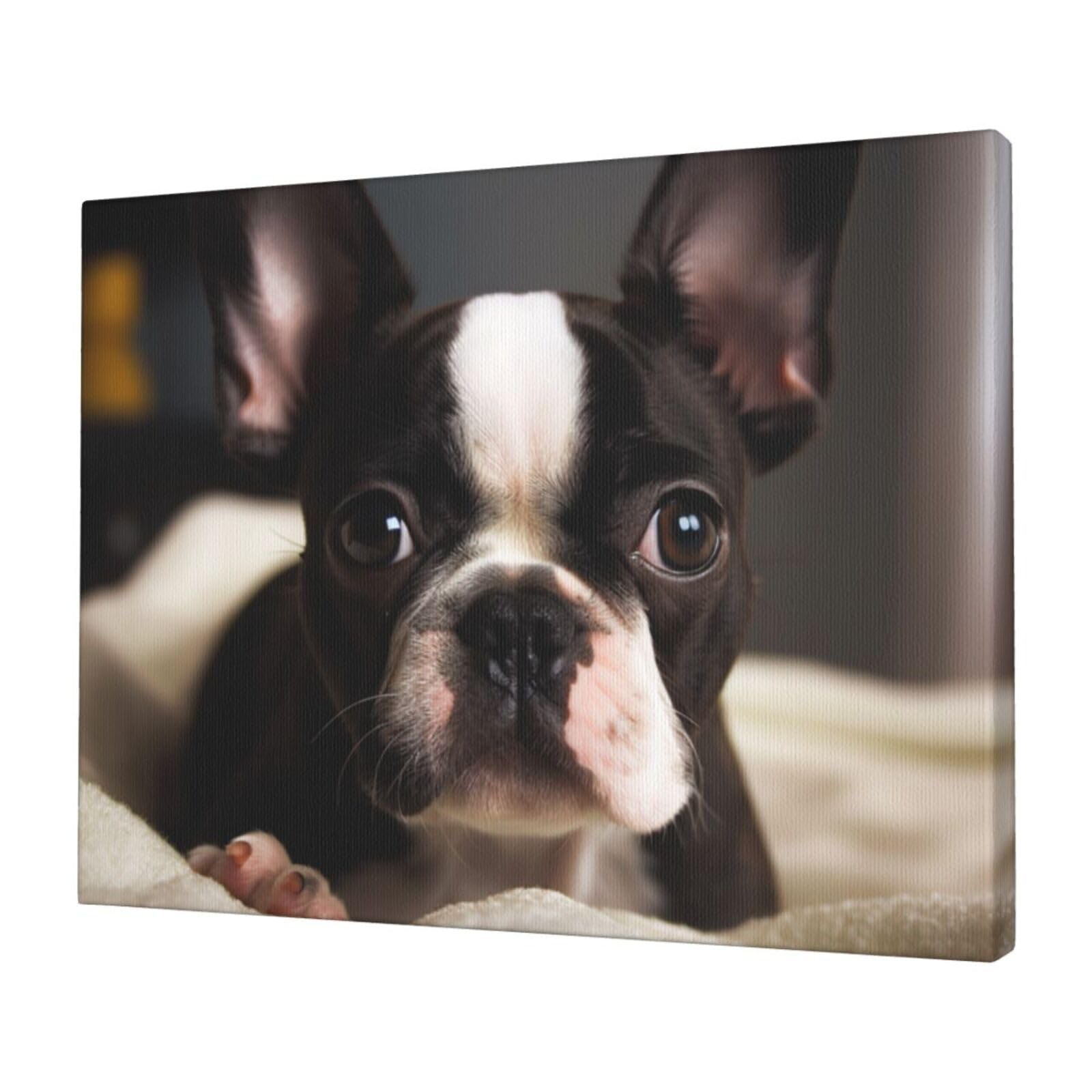 FodPand Canvas Wall Art for Living Room Wall Decor 12"x16" Modern Artwork Painting Pictures Hanging Canvas Prints Cute Boston Terrier Aesthetic Wall Art for Bedroom Bathroom Office Wallart Decor