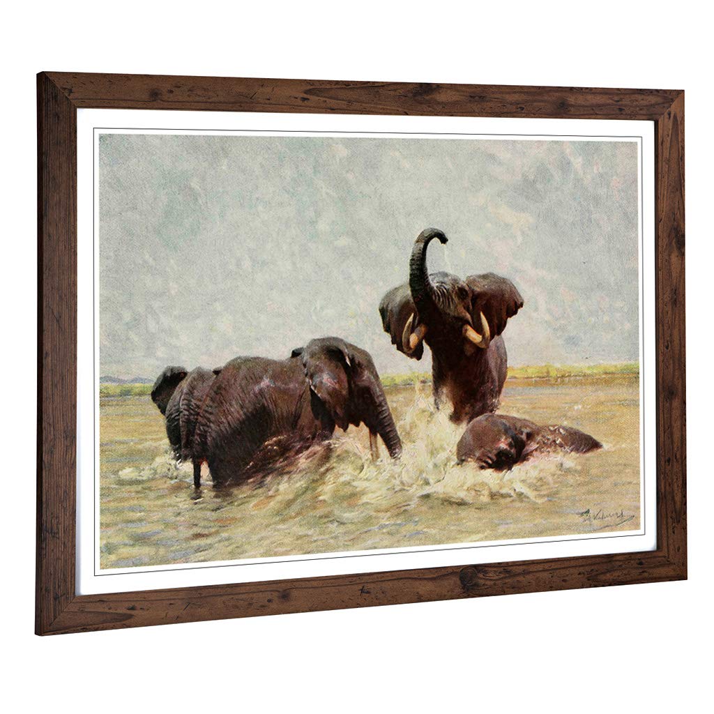 Big Box Art Framed Print of Vintage W Kuhnert Elephants Bathing Design | Wall Art Picture | Home Decor for Kitchen, Living Room, Bedroom, Hallway, Walnut, A2 / 24.5x18 Inch / 62x45cm