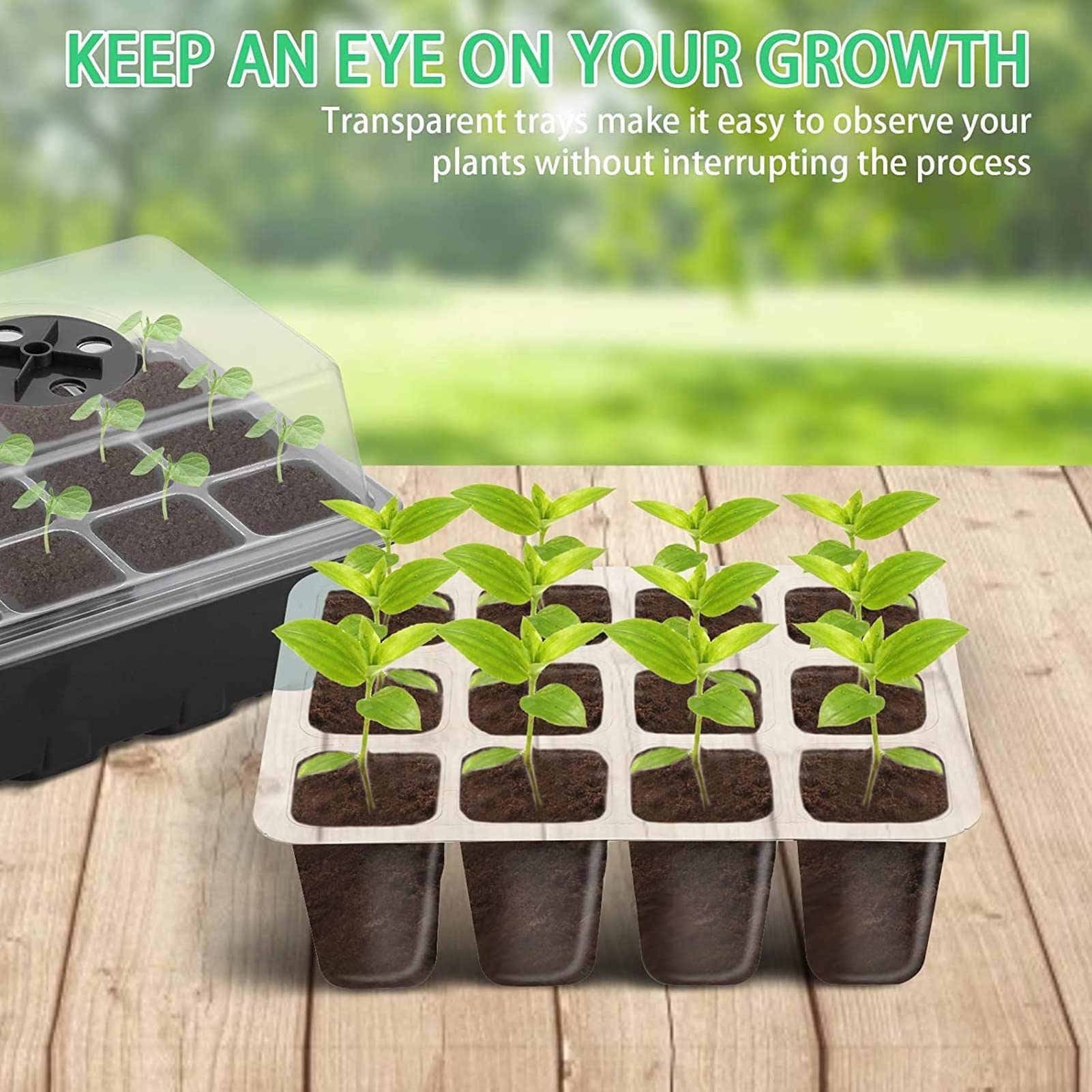 Kit Vassoi Piantine Con Serra - 3 Pezzi Per Germinazione Semi - Foto 2