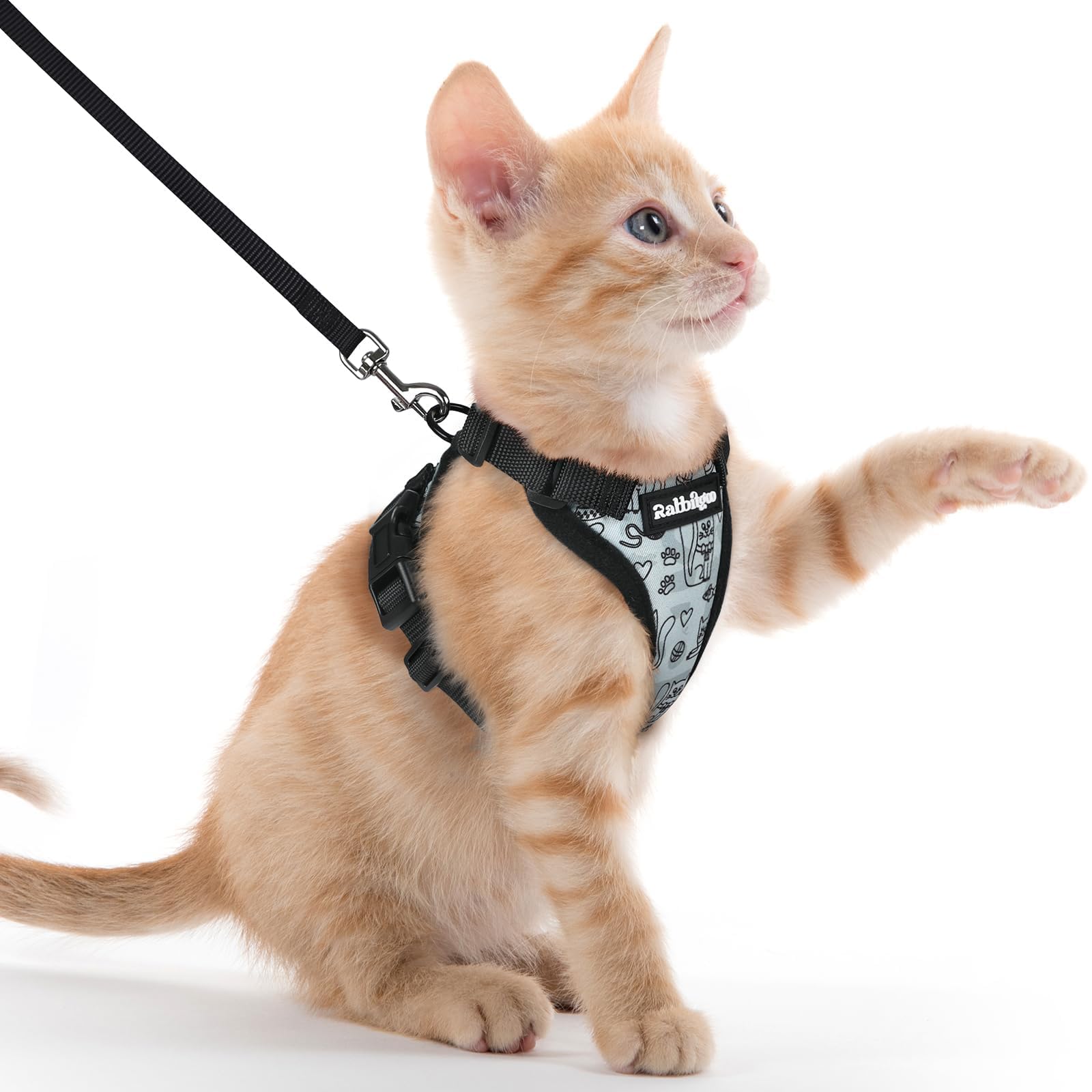 rabbitgoo Cat Harness and Lead Set, Adjustable Escape Proof Cat Lead for Walking, Reflective Kitten Harness Set, Soft and Comfortable for Medium to Large Cats,Doodle Gray, XXS