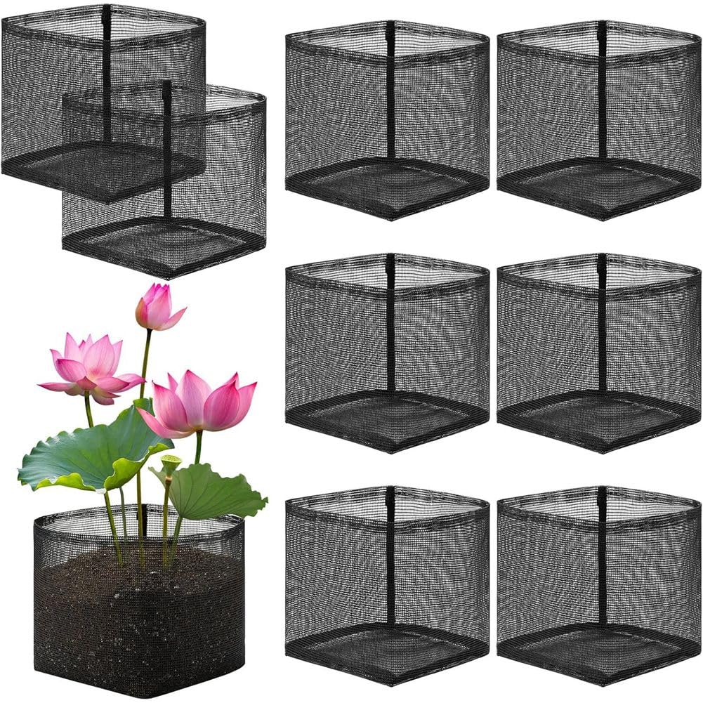Plantas acuáticas sanas con bolsas transpirables de 18 cm para estanques