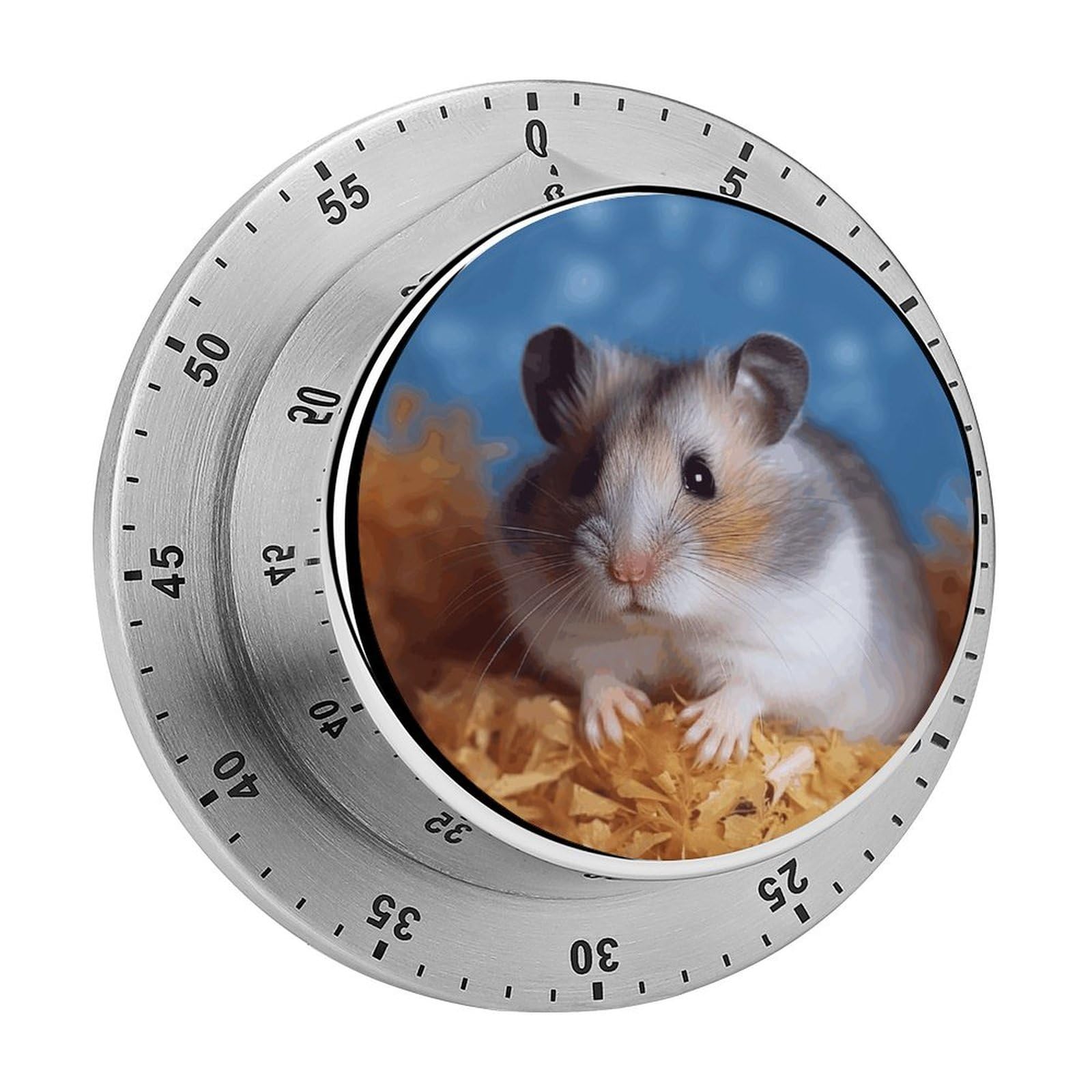 60 Minute Wind Up Timer, Visual Mechanical Timer with Loud Alarm, Hamster Kitchen Timers for Cooking - No Batteries Required - Magnetic Backing, Exquisite Stainless Steel Body