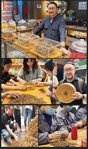 Miniatura 4 de Genuino seco Cordyceps sinensiswinterworm summerherb, Ophiocordyceps sinensis, Tíbet destacado, (6 piezas) peso neto 0.04 oz.