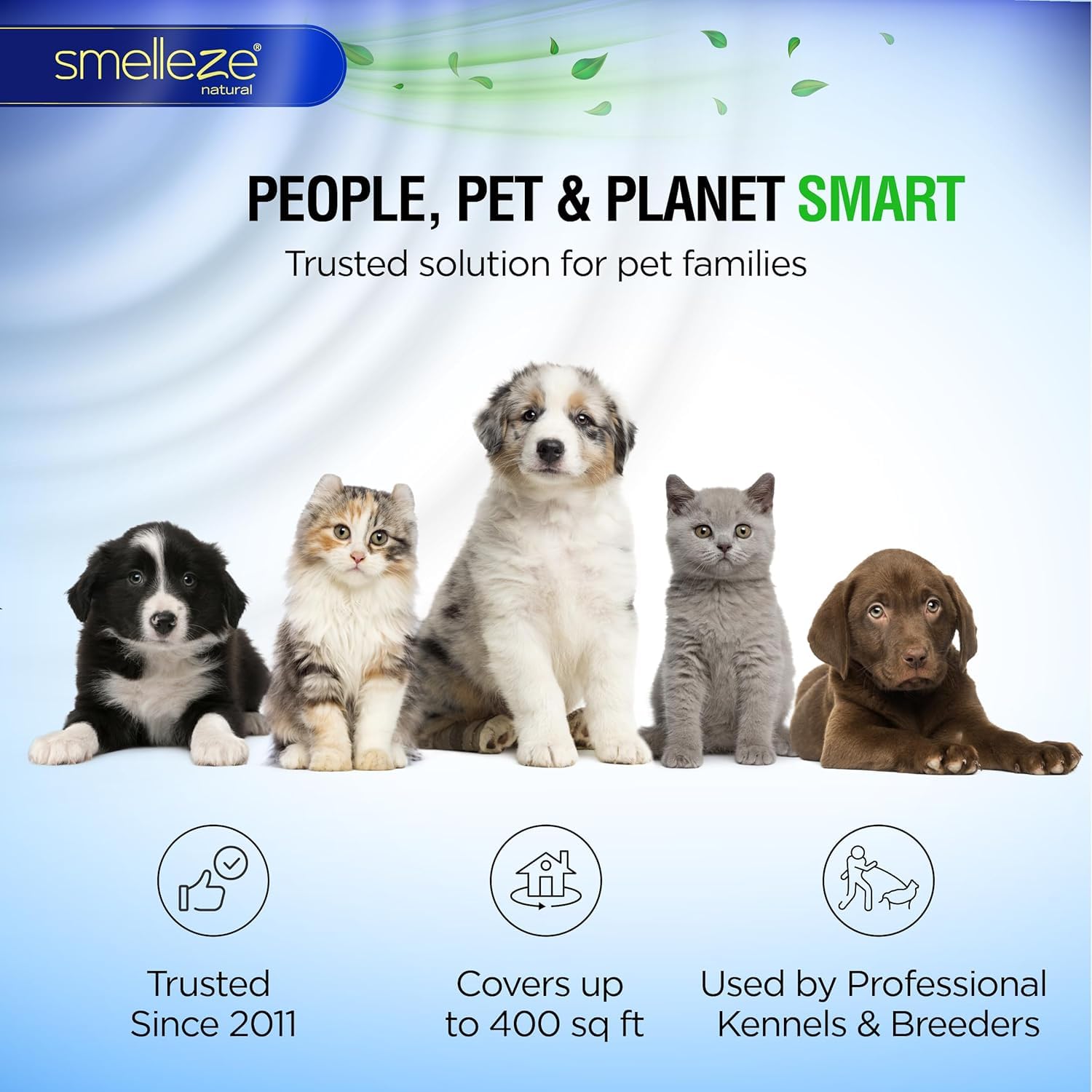 SMELLEZE Desodorante natural para eliminar olores de patio y hormigón: 50 libras. Los gránulos eliminan el olor de orina y heces de mascotas al aire libre. Larga duración. Seguro para personas,