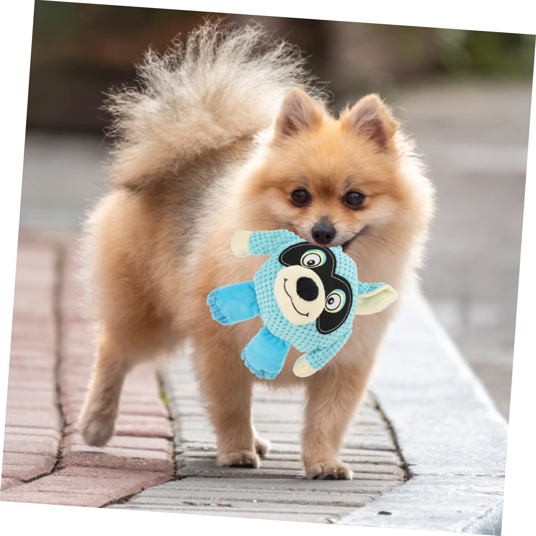 SUPVOX 2piezas Juguete De Peluche Interactivo para Perros Squeaky Toy De Alta Resistencia para Mascotas Que Muerden para Perros Pequeños Casa