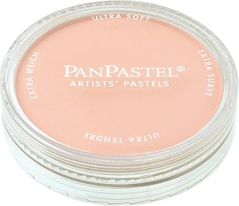 Amazon Co Jp ホルベイン パンパステル レッドアイアンオキサイド ティント ホビー 通販