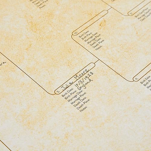 Miniatura 7 de Okuna Outpost Paquete de 15 gráficos de árbol genealógico para rellenar, papel de póster blanco roto, gráficos de genealogía de 8 generaciones con