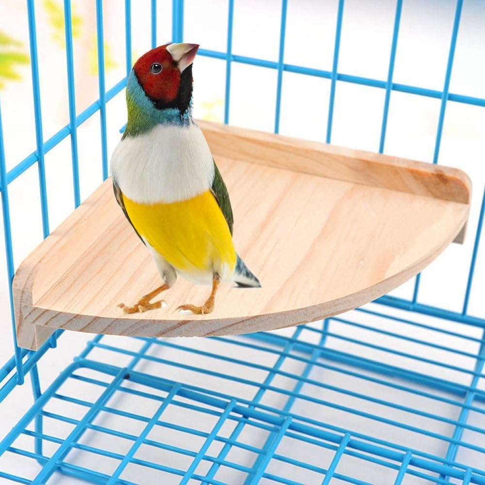 Bird Platform Perch Stand Wood for Small Animals Parrot Parakeet Conure Cockatiel Budgie Gerbil Rat Mouse Chinchilla Hamster Cage Accessories Exercise Toys Sector