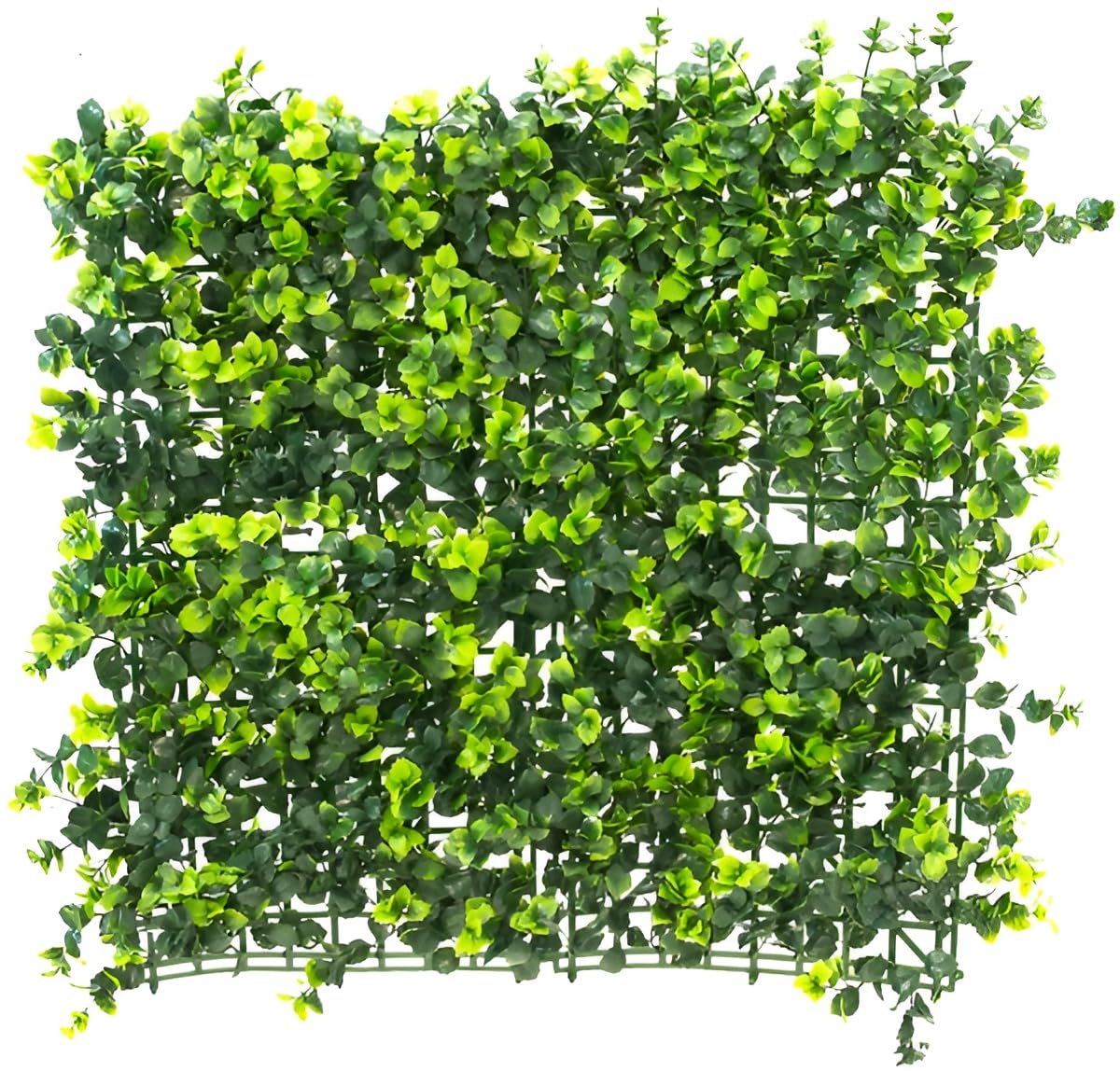 Papillon Dark Buxus Artificial Hedge Garden Patio Panels 50cm x 50cm 4 Panels