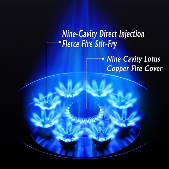 Estufa de Gas 1 Puesto 32cm 5.2KW Empotrable 110V miniatura 6