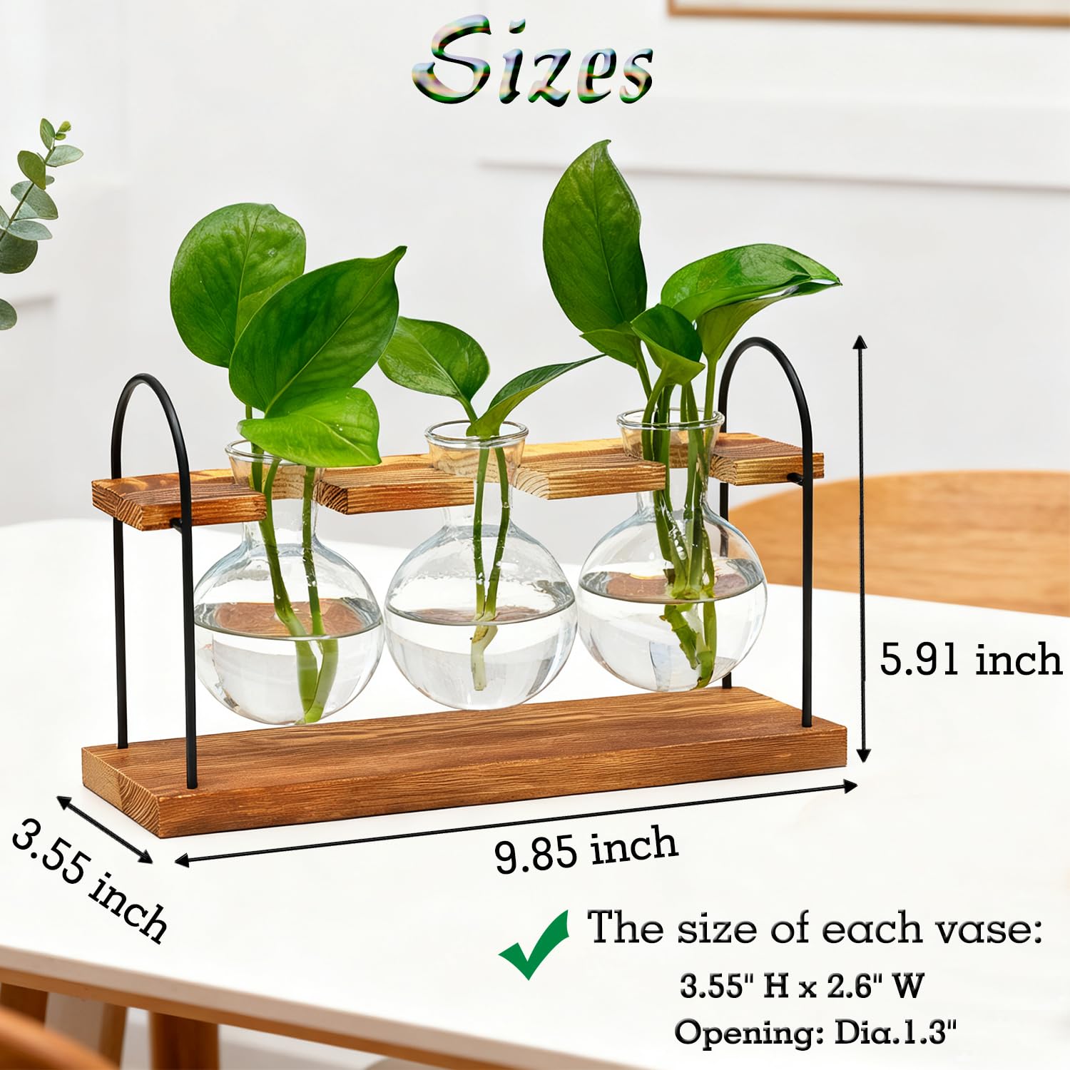 air plant hanging holder Air Plant Swing Arm Clamp – Airplantman main image 1