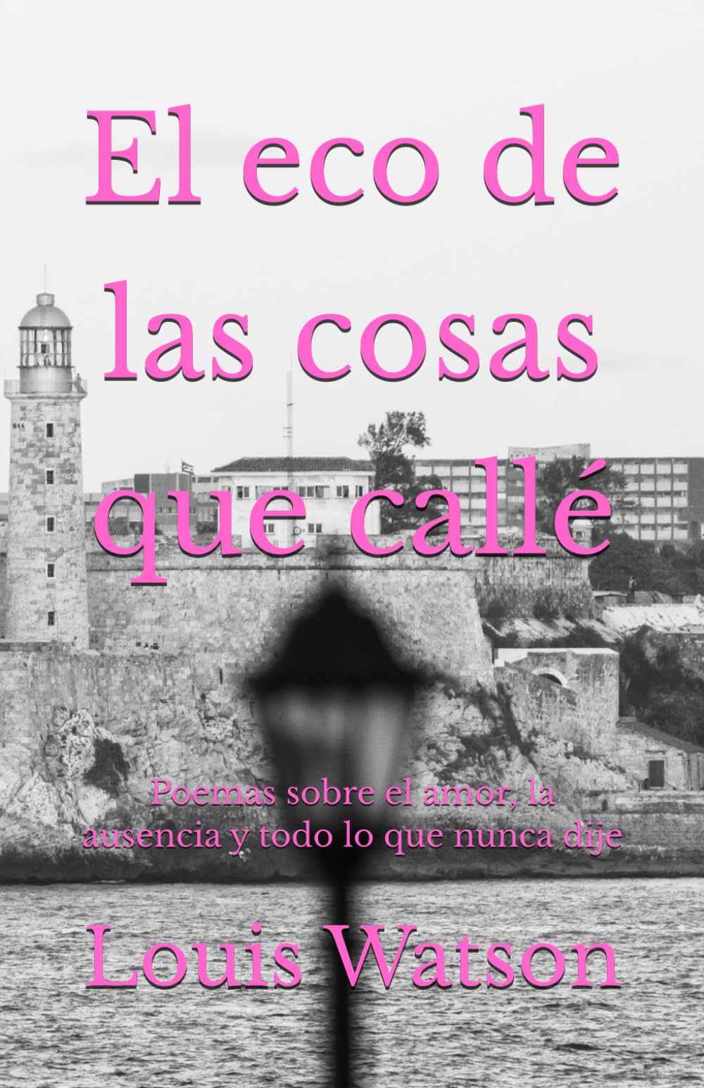 El eco de las cosas que callé: Poemas sobre el amor, la ausencia y todo lo que nunca dije