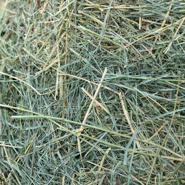 Foto 2 de 4 de agrar-Store 7 kg heno de prado 1. Corte, para conejos y otros animales pequeños, calidad 1A