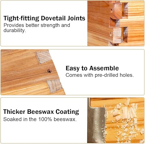 Miniatura 2 de BeeCastle Caja de colmena mediana de miel con 10 marcos de colmena y hojas de base revestidas de cera de abeja