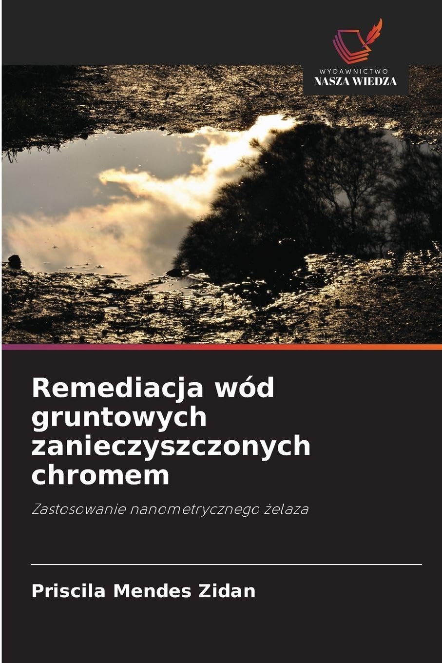 Remediacja wód gruntowych zanieczyszczonych chromem: Zastosowanie nanometrycznego ¿elaza