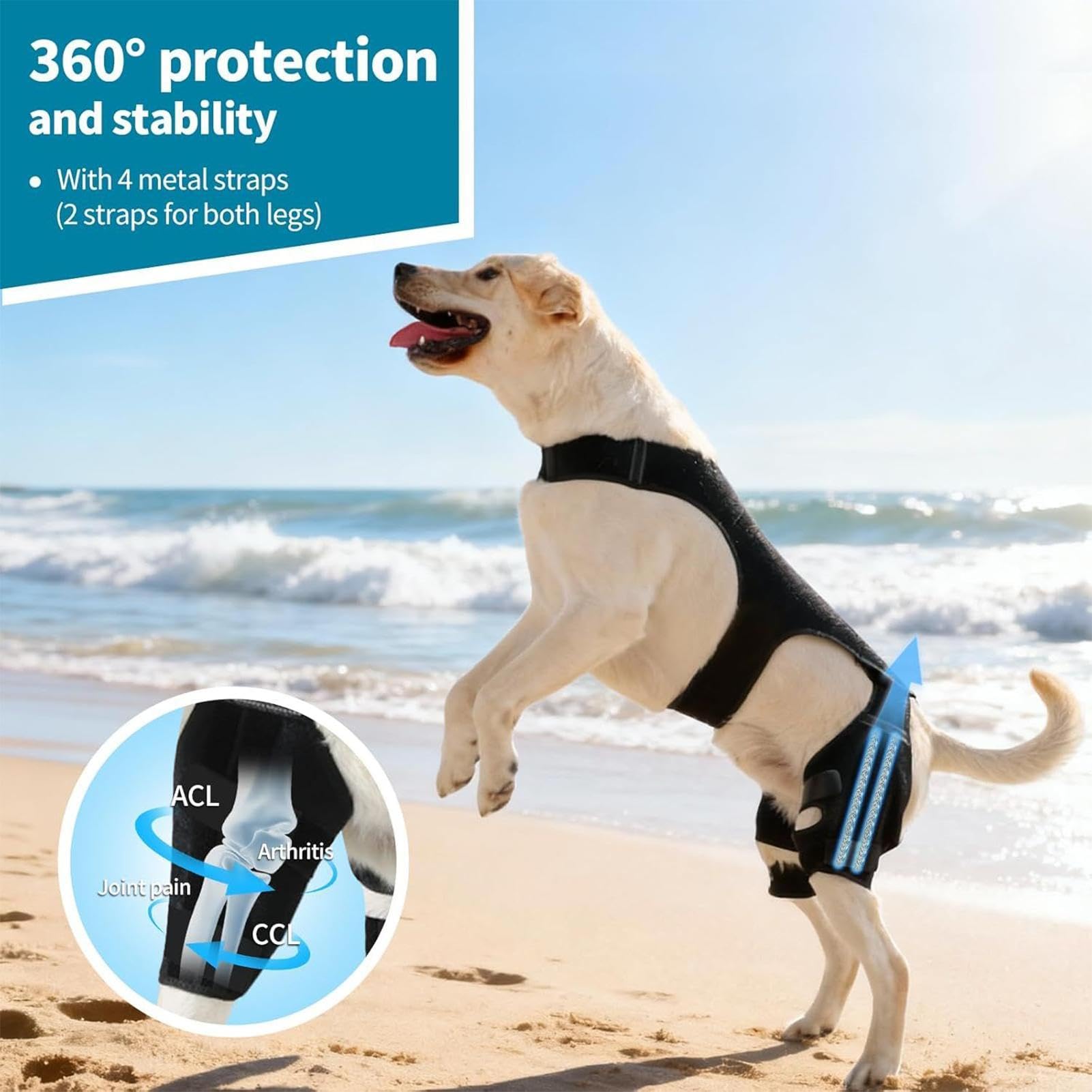 Genouillère Pour Chien Bandage Articulaire Réglable | Avec 4 Stabilisateurs Métalliques Support Pour Patte Arrière Pour Randonnée Exercice Activités Extérieures Parc Plage