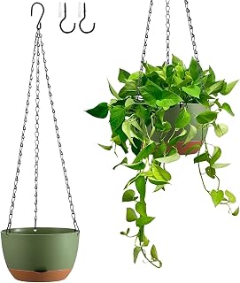 Kvetto Self-Watering Hanging Planters for Indoor Outdoor Plants, Set of 2 8/10 Inch Color Blocking Pots with Drainage Hooks
