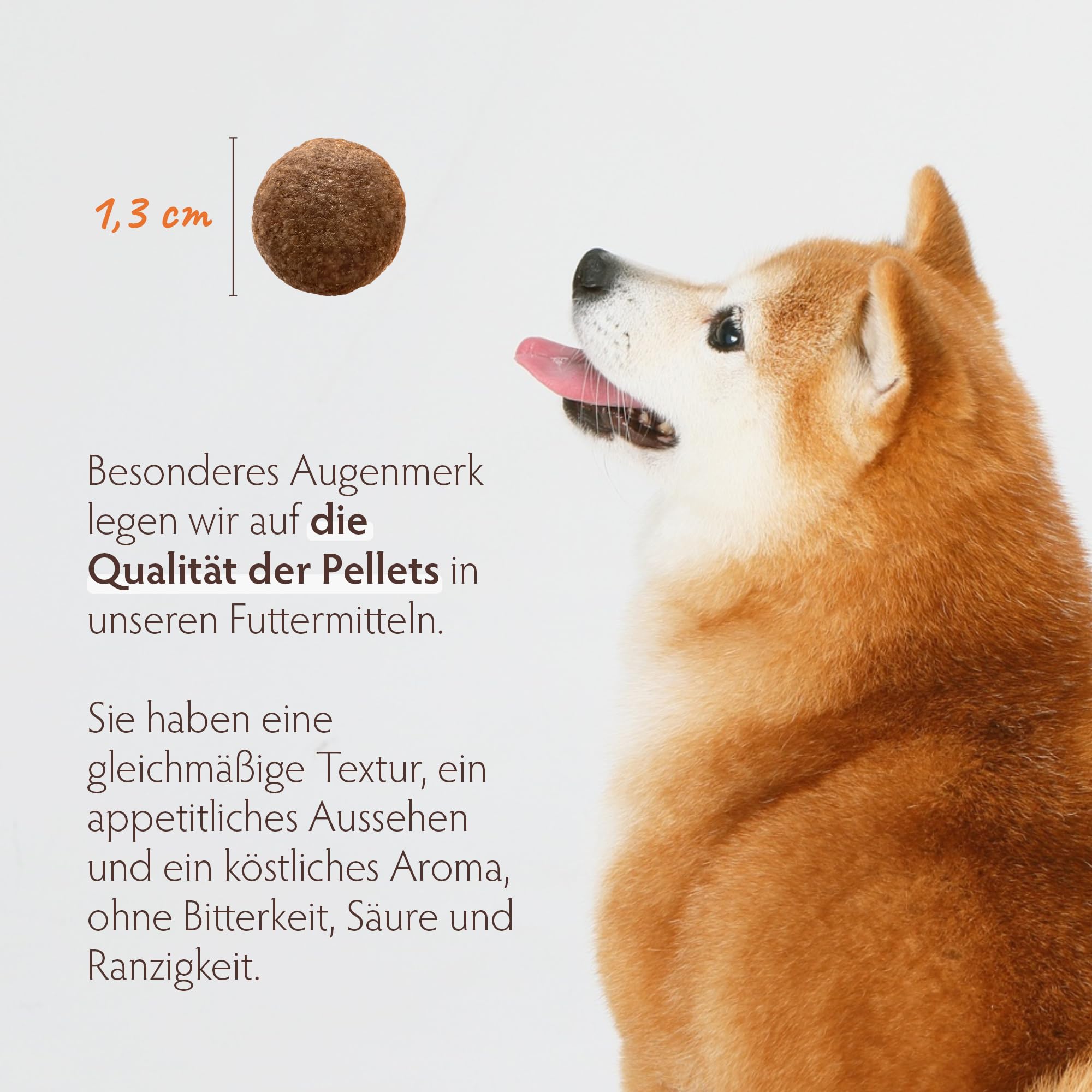 Grandorf Medium und Maxi - 4 Fleisch - Hypoallergenes Single Grain  Hundefutter - Mittelgroe und Groe Rassen 3 kg : Amazon.de: Haustier