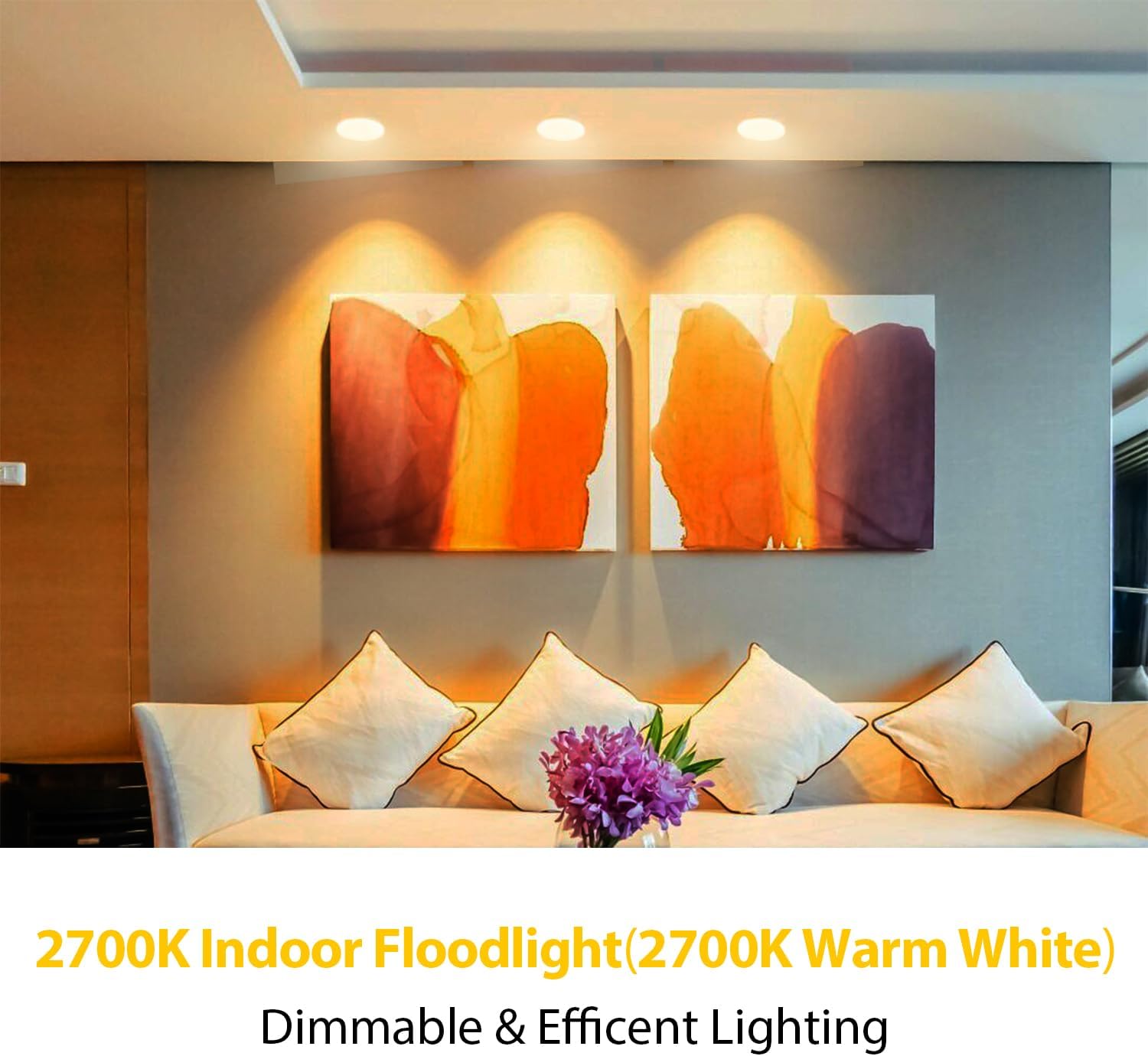 dalattin 6 Pack BR30 LED Bulbs 65W Equivalent, Dimmable Indoor Flood Lights 2700K Soft White, 9W, 800 Lumens, E26 Base, LED Recessed Light Bulb for Living Room, Bedroom, Bathroom, Kitchen