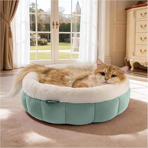 Miniatura 22 de BALANCE Camas para gatos de interior, cama redonda lavable para gatos, bonita cama para gatitos con parte inferior antideslizante para gatitos y