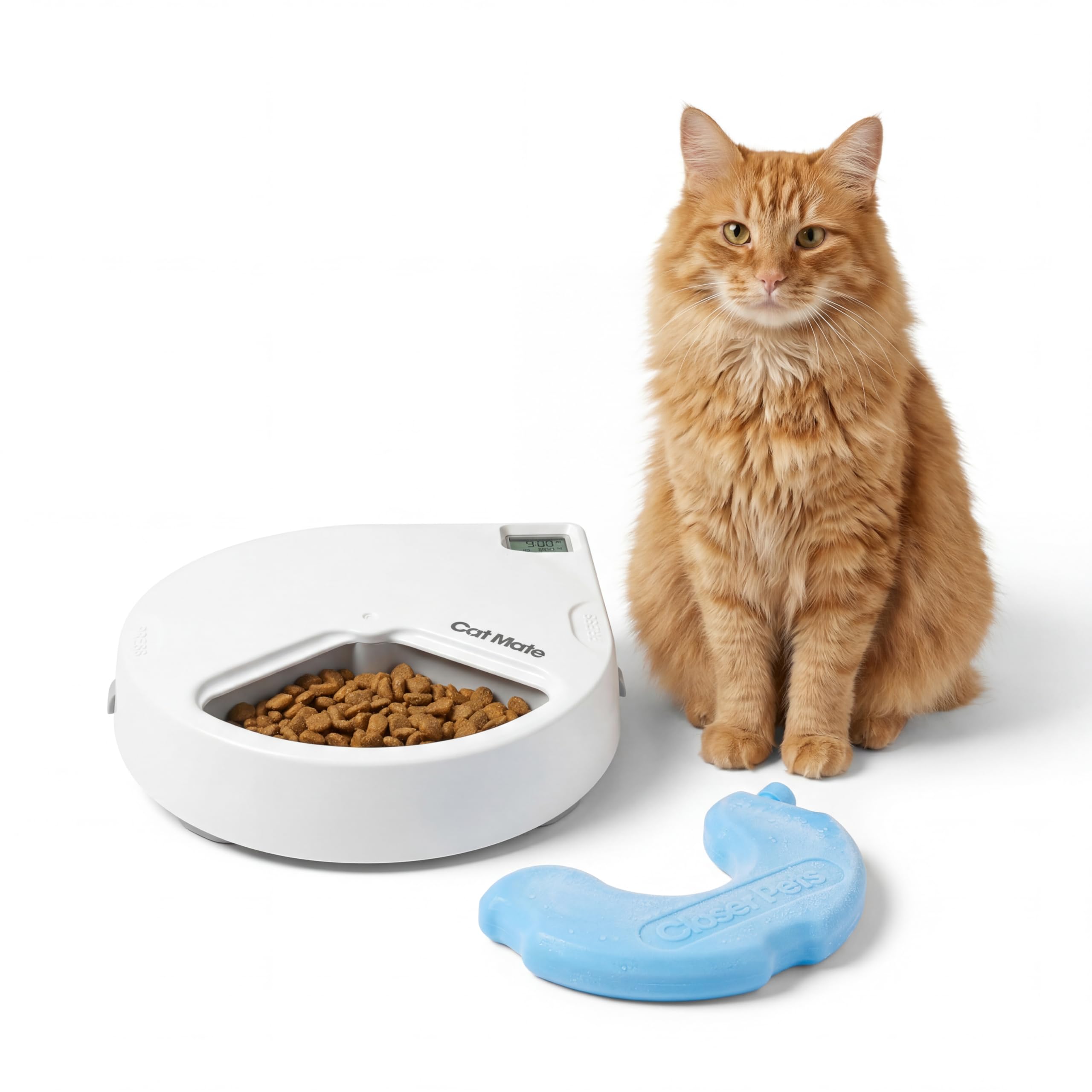 Cat Mate C300 Automatic 3 Meal Review – Best Budget Option?