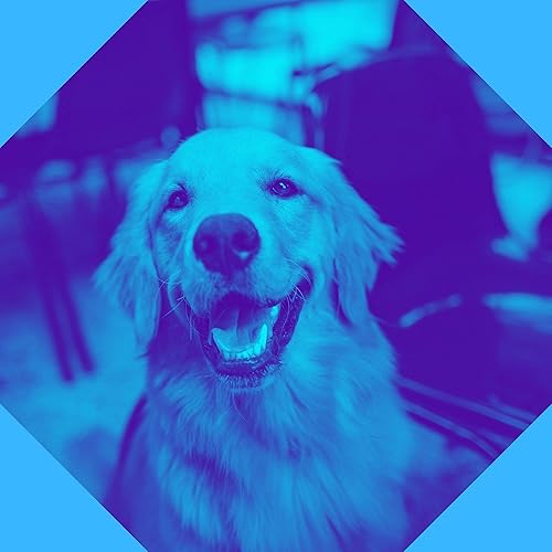 Amazon Com 音 ストレスのたまった犬 犬のための音楽デラックス 數位音樂
