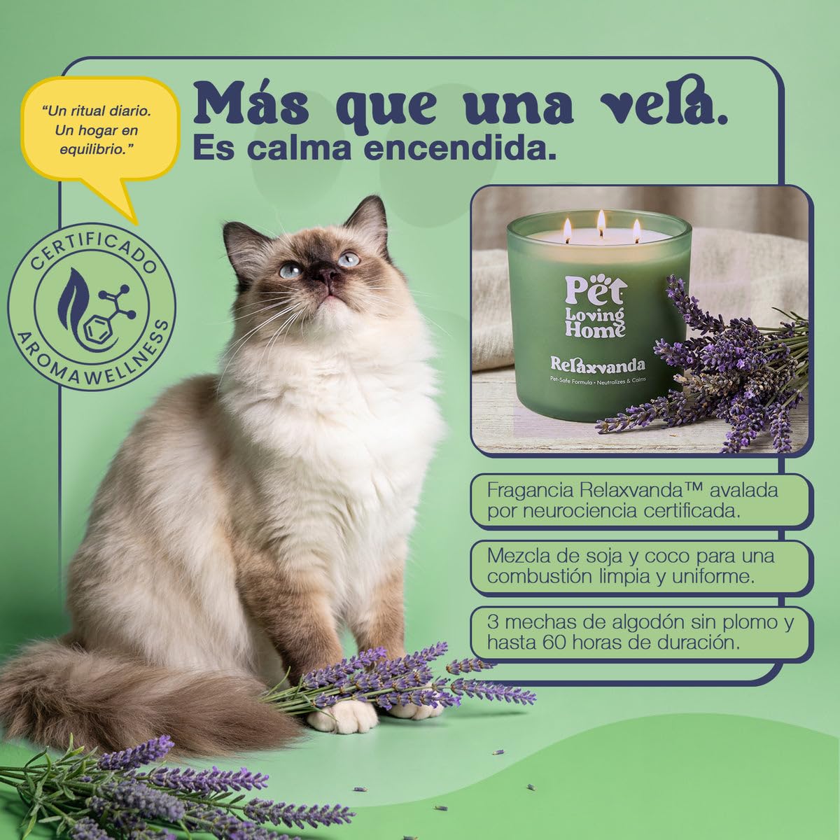 Vela Aromática Relaxvanda 350 g - Aroma Lavanda - Neutraliza Olores - Cera Vegetal Soja y Coco - 3 Mechas - 60h Duración - Diseñada para Hogares con Mascotas