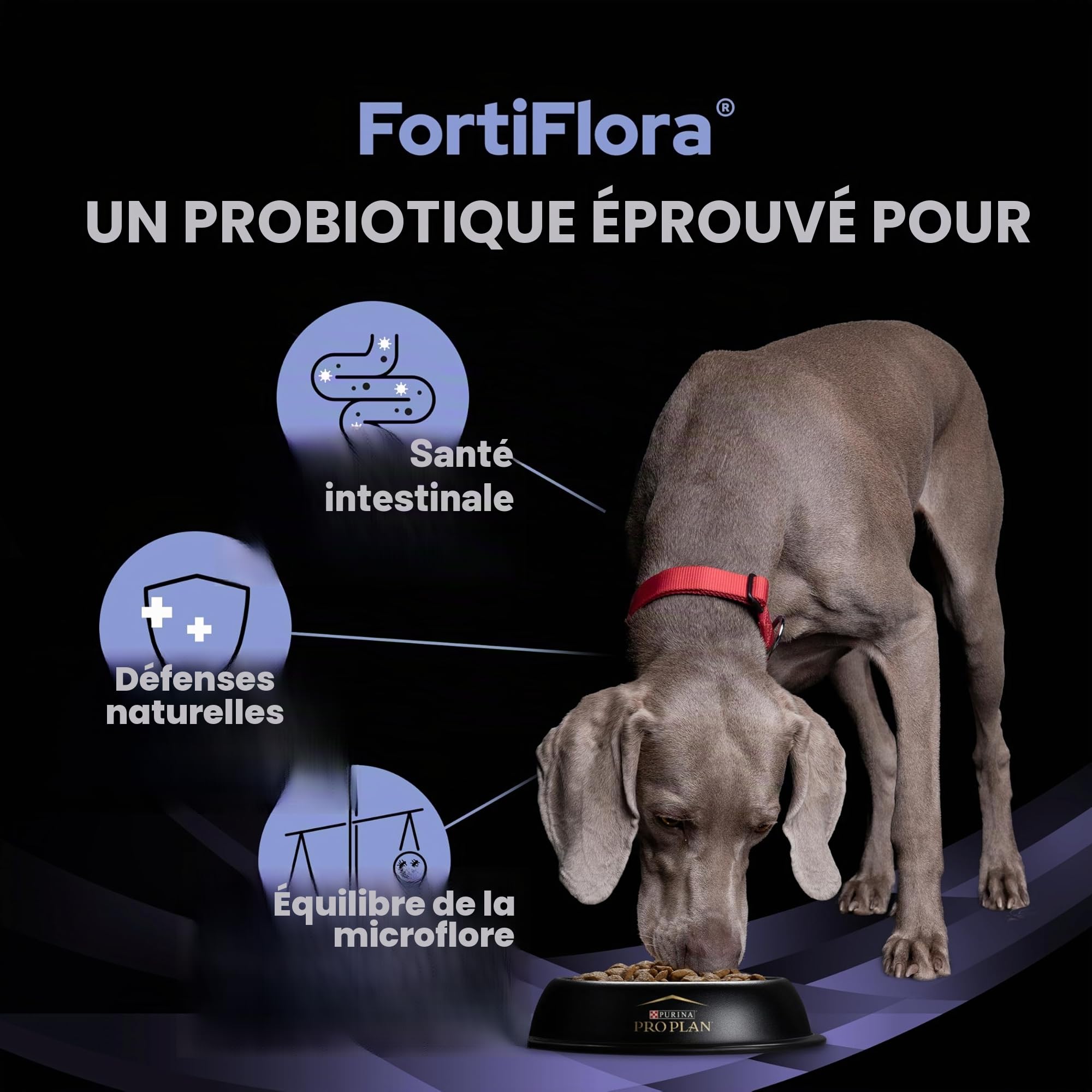 Pro Plan Vet Canine Fortiflora Probiotic Lacets 30 x 1 g