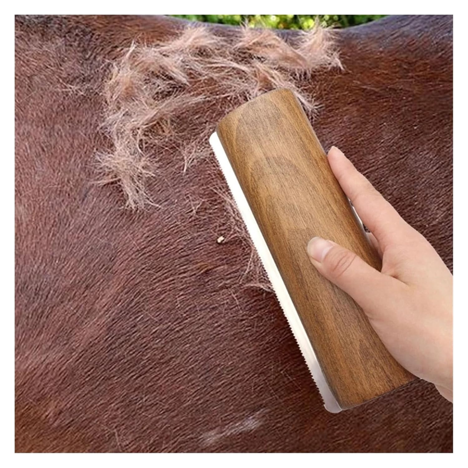 Horse Groomings Brush Wooden Handle Shedding Too Remove Of Loose Hair
