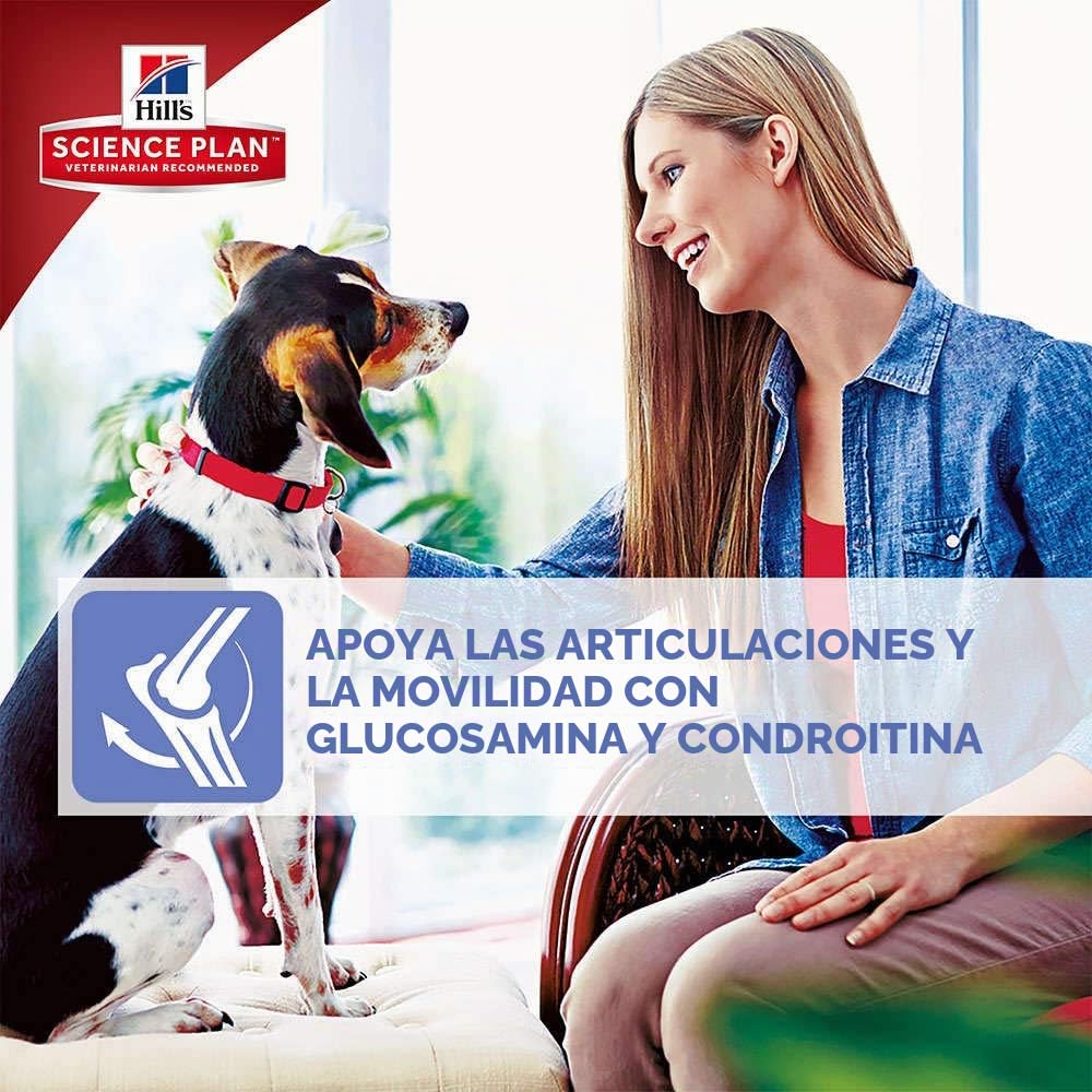 Hill`s Science Plan Alimento con Sabor a Pollo para Perros Maduro - 12 kg