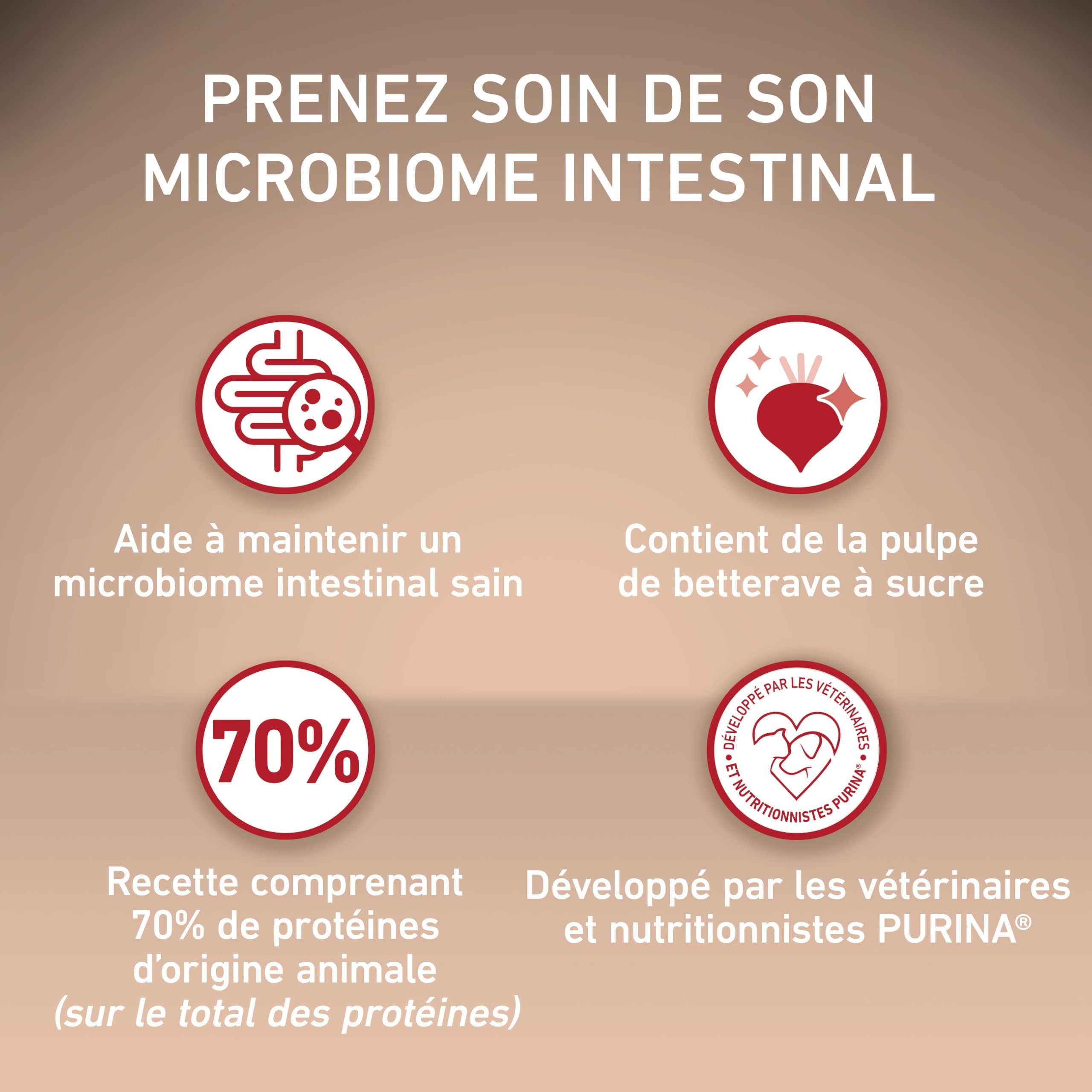 PURINA ONE | MINI | ACTIVE | Croquettes pour Chien Adulte Actif de petite taille, <10 Kg | Protéines de haute qualité pour aider à soutenir des muscles forts | Au Poulet | Sac | Lot de 6 x 1,5 Kg