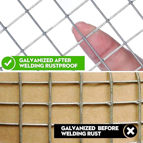 Miniatura 3 de FOXIVO Paño de herramientas de calibre 19 valla de malla de alambre de pollo de 12 pulgada jaula soldada galvanizada sumergida en caliente rollo de