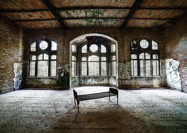 Foto 2 de 8 de Ravensburger Puzzle Lost Places 12001392, Beelitzer Women's Pavilion