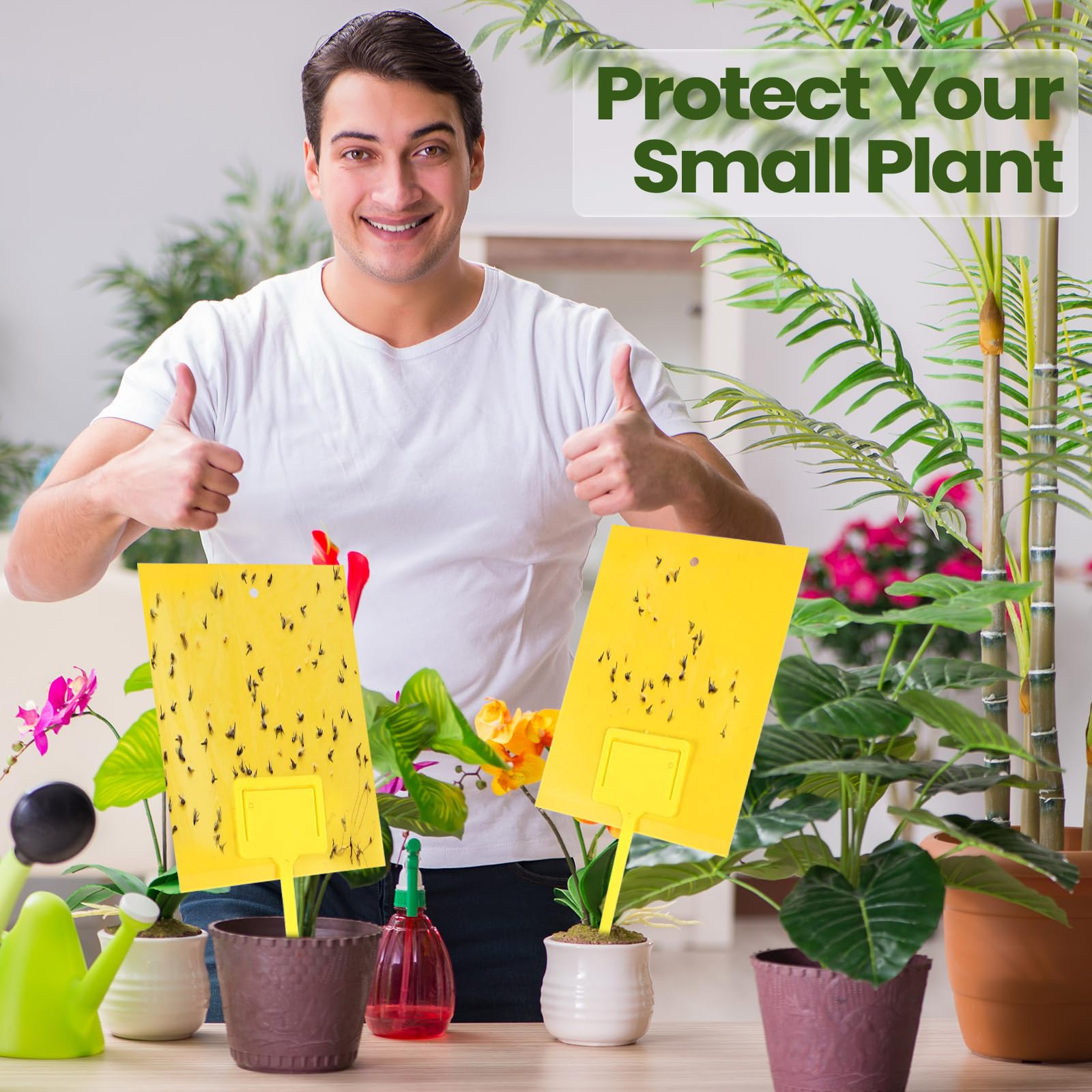 Qualirey 250 trampas adhesivas amarillas para mosquitos, trampas de mosquitos de doble cara de 6 x 8 pulgadas para plantas de interior y exterior, tarjetas adhesivas para moscas de la fruta, moscas