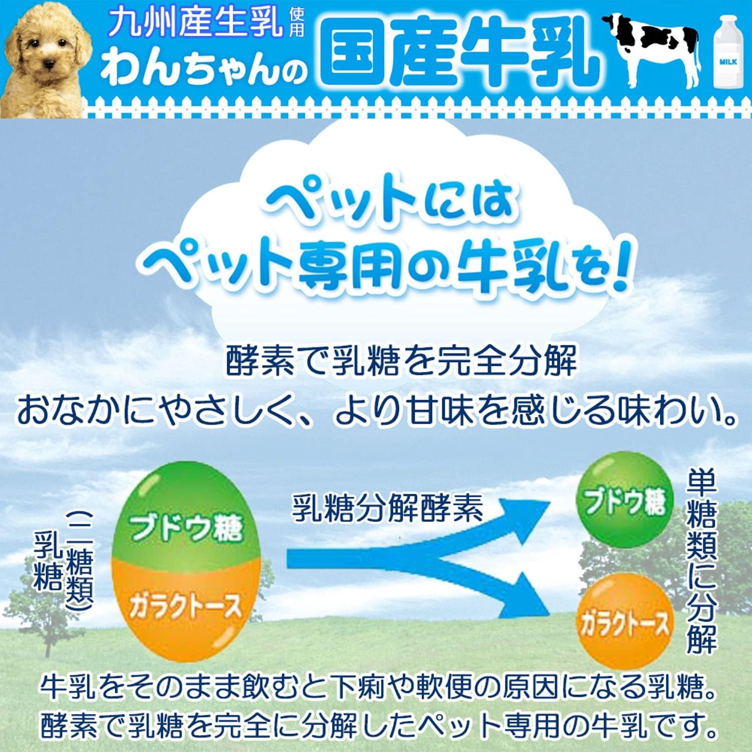 Amazon ドギーマン わんちゃんの国産牛乳 全犬種用 0ミリリットル X 24 ケース販売 ドギーマン ペット用品 通販