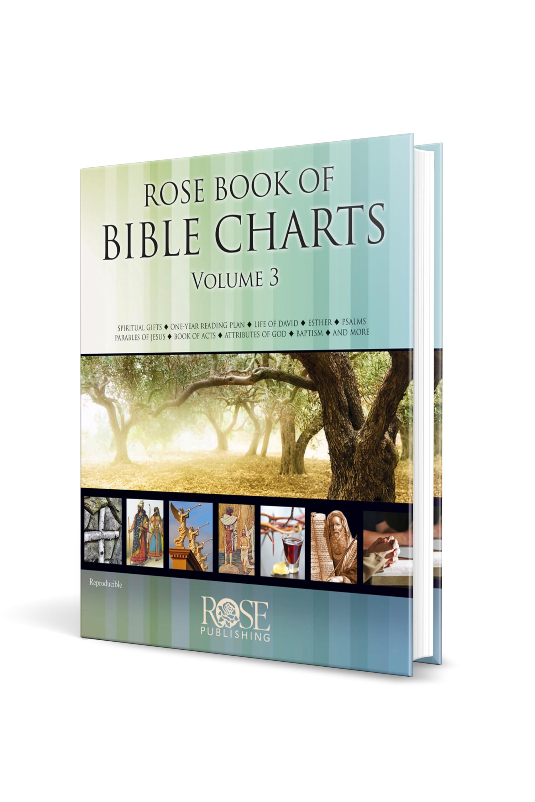 Rose Book of Bible Charts, Volume 3 - Image 2