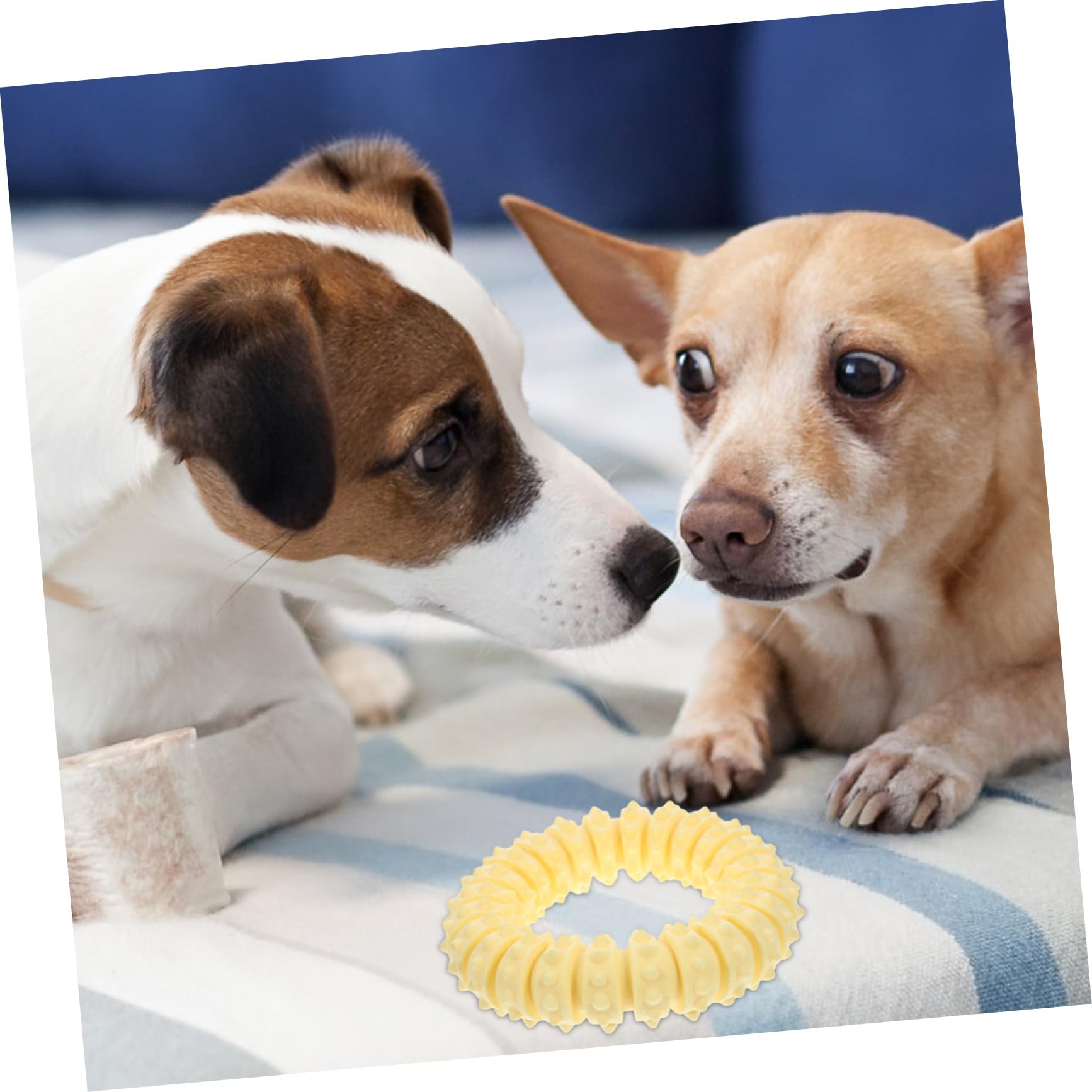 INOOMP 3pezzi Giocattolo Da Masticare Per Cani Anello Morbido Per Cuccioli Stimola Gioco e Crescita Sana Attività Intelligente Giocattolo Indistruttibile Per Teething e Snack