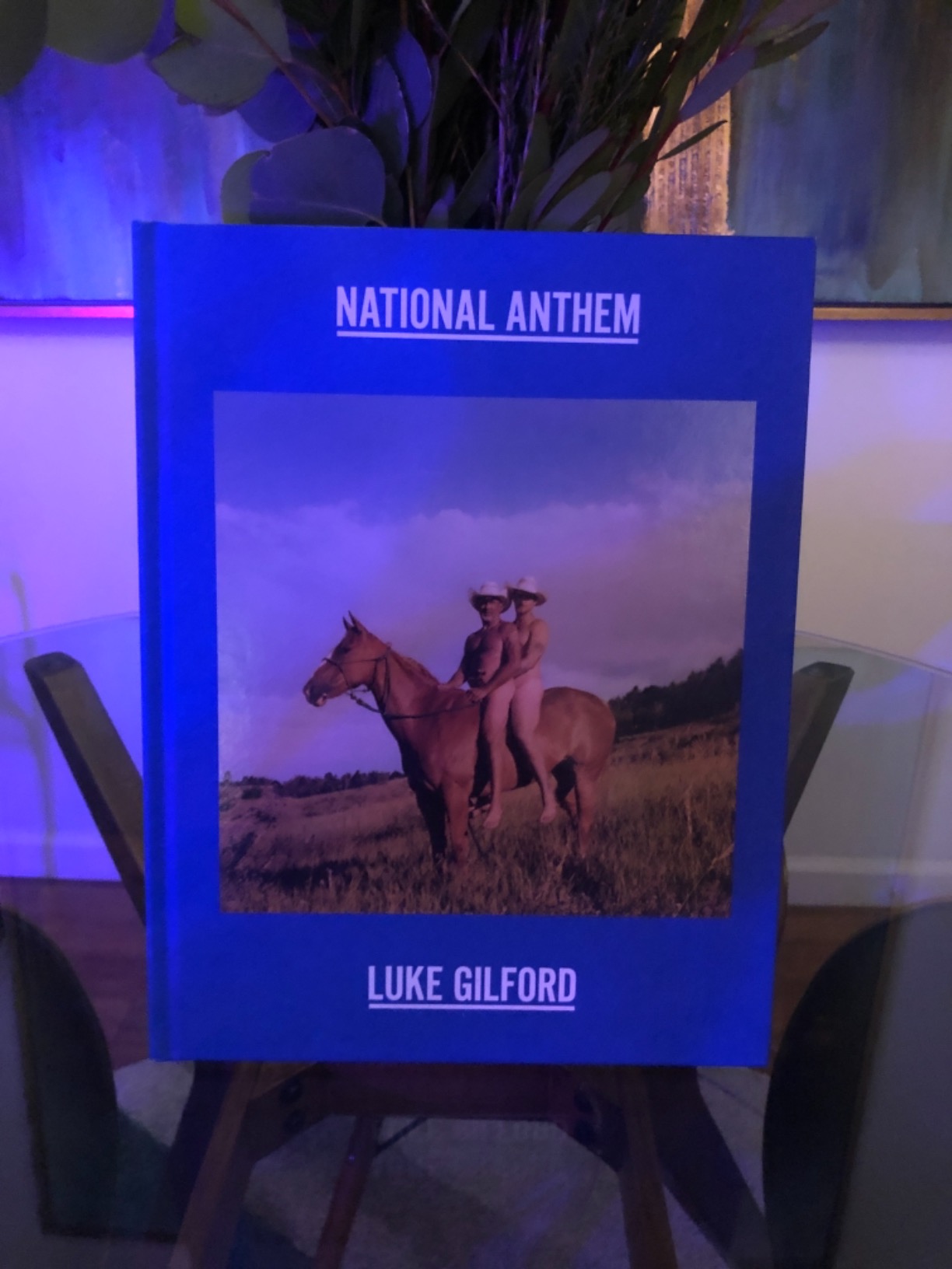 The important American queer representation we didn’t know we needed.