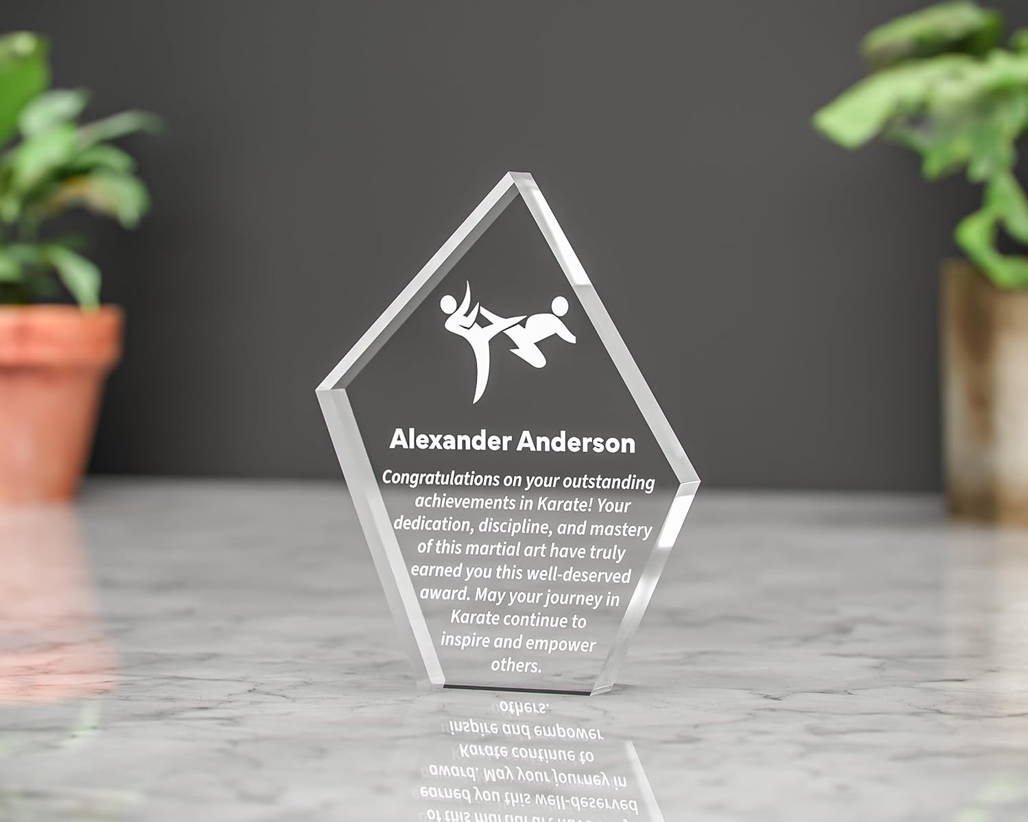 Personalised Solid Acrylic Award Trophy Plaque Various Trophies and