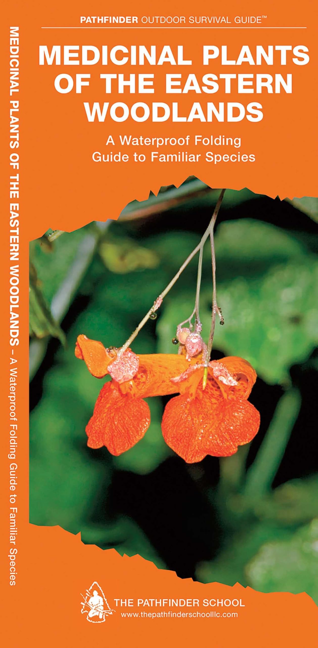 Medicinal Plants of the Eastern Woodlands (Outdoor Recreation and Survival)