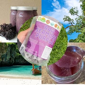 Purple Sea Moss | Irish Sea Moss | Wildcrafted - 100% Natural, Makes 120+ oz of Seamoss Gel, for Health & Wellness | Dr. Sebi - 8oz
