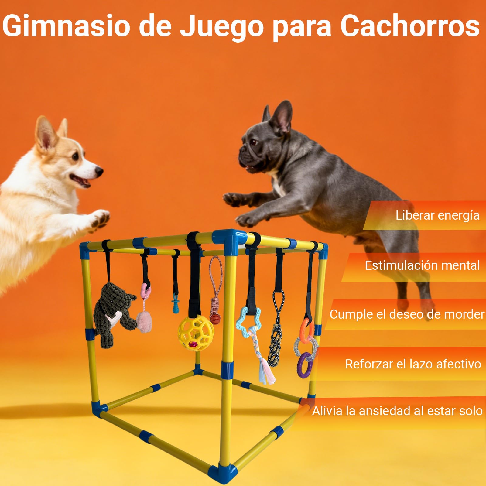 Gimnasio de juego para cachorros, con 9 juguetes interactivos para perros, juguetes de enriquecimiento para cachorros para mantenerlos ocupados, 24 x 24 x 24 pulgadas, juguetes para mascotas
