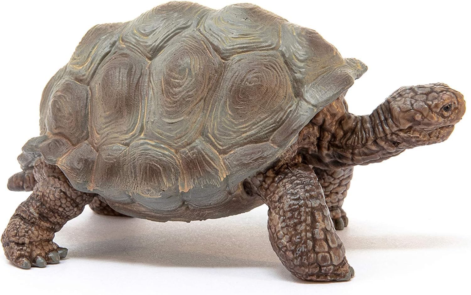Schleich Wild Life - 3" Galapagos Giant Tortoise Figure - Realistic Turtle Toy for Boys and Girls - Wild Animal Educational Toy - Zoo Wildlife Figurine for Toddlers and Kids Ages 3+ | 13337