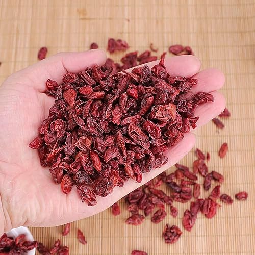 Miniatura 3 de Cornus Officinalis, fruta de cornel medicinal cornejo (Cornus Officinalis) Shan Zhu Yu, cereza de cornelia, corneja, fruta asiática sin semillas,