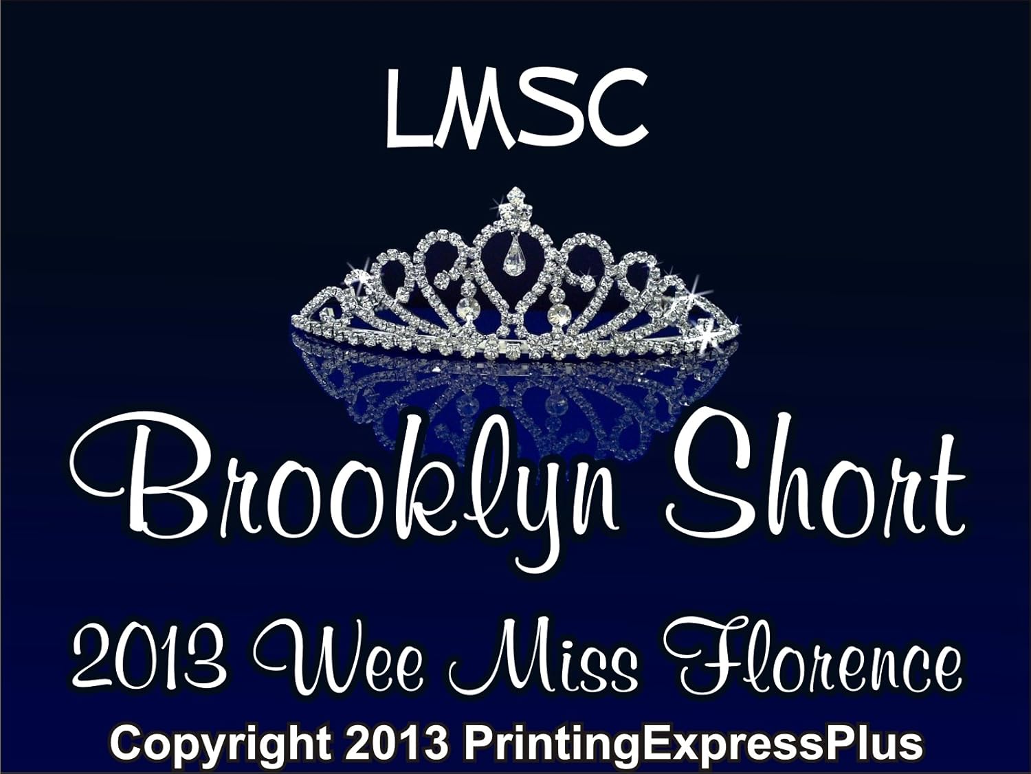 Custom Car Magnets (18 in x 24 in)