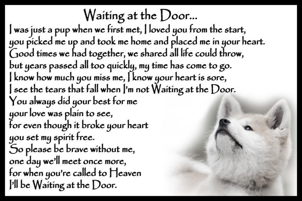 Japanese Akita pet Dog Memorial Rainbow Bridge Magnetic Sign - Waiting at The Door